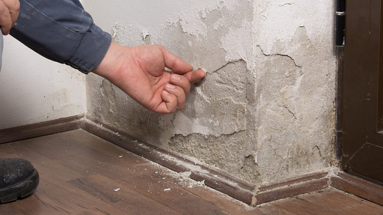 Is-rising-damp-covered-by-buildings-insurance-768x432.jpg